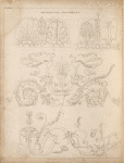 Ornamental fragments.