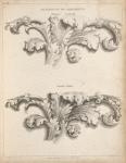 Elements of ornament.