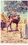In Bornu.
