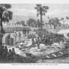Liberation of slaves after the capture of the slave boats
