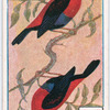 Birds of brilliant plummage.