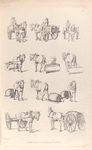 [Horse drawn carts. Horses pulling rollers and barrels on carts or sleds.]]