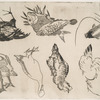 Canards, poissons, etc.