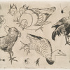 Coqs, canards, etc.