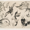 Coq, canard, poisson, plantes.