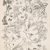 Fleurs.