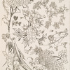 Fleurs.
