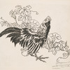Un coq et des liserons.