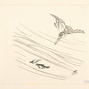 Martin-pêcheur, deux petits poissons.