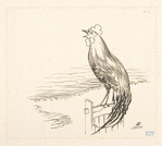 [Un coq perché sur un seau, devant la mer.]