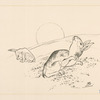 Deux lapins, la lune derrière colline.