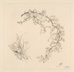 Feuille de chêne.