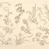 Oiseaux et fleurs japonais.