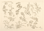 Oiseaux et fleurs japonais.