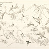 Oiseaux et fleurs japonais.