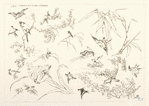Oiseaux et fleurs japonais.