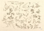 Fleurs et oiseaux japonais.