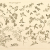 Fleurs et oiseaux japonais.