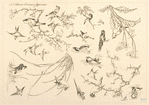 Fleurs et oiseaux japonais.