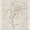 Plat rond (narcisse).