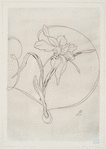 Plat rond (narcisse).