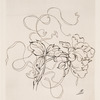 Assiette (pivoine).