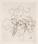 Assiette (pivoine).
