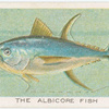 The albicore fish.