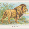 The lion.