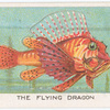 The flying dragon.