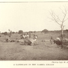 A landscape in the Gambia colony.
