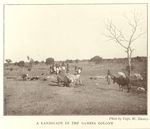 A landscape in the Gambia colony.