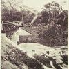 The railway to the gold fields: Gold Coast.
