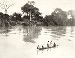 On the Lower Niger, in the Delta.