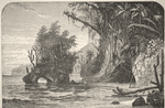 A tropic beach