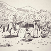 Gathering limes
