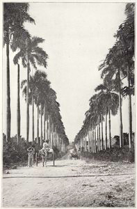 The cruise of the Scythian in the West Indies
