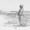 Pallas.