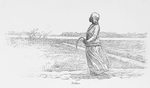 Pallas.