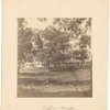 Two long wooden single-story buildings, large trees on lawn in foreground