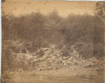 Slaughter Pen : Gettysburg / Alexander Gardner