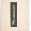 Bone