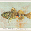 The father-lather fish.