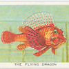 The flying dragon.