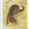 The otter.