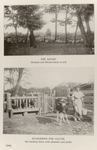 The apiary, orchard and swarm-sack at left. ; Stanchions for calves, Ora feeding them with pleasure and profit.