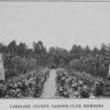 Caroline County Garden-Club members.