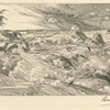 Les mouettes.