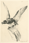 Titre pour Les graveurs du XIXe siècle, tome III : Catalogue de l'oeuvre de Bracquemond.