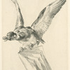 Titre pour Les graveurs du XIXe siècle, tome III : Catalogue de l'oeuvre de Bracquemond.